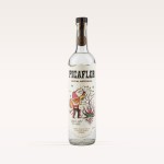 Picaflor Espadín
