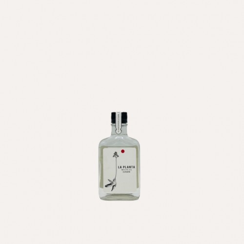 La Planta Espadin 20 cl.
