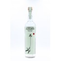 La Planta Salmiana