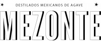 Mezonte